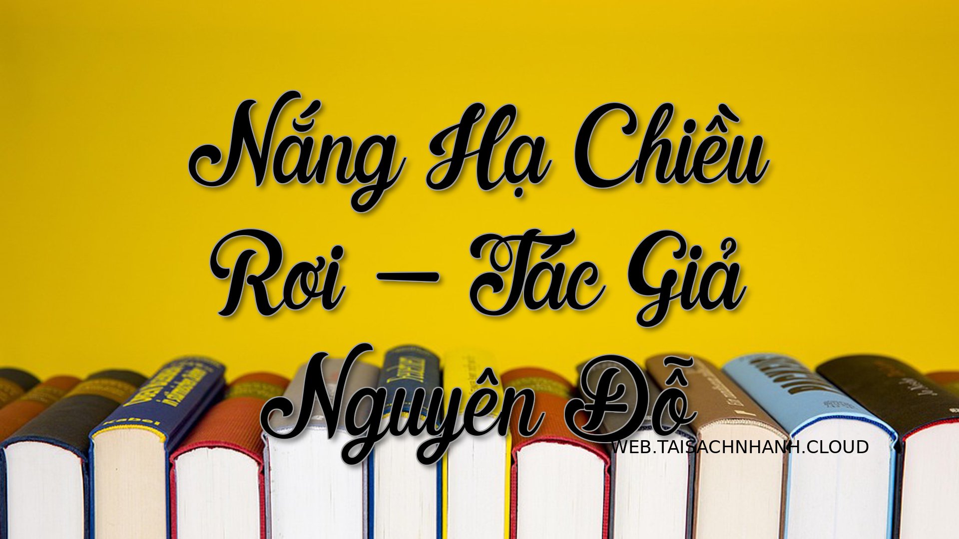 Cover Nang Ha Chieu Roi.jpg
