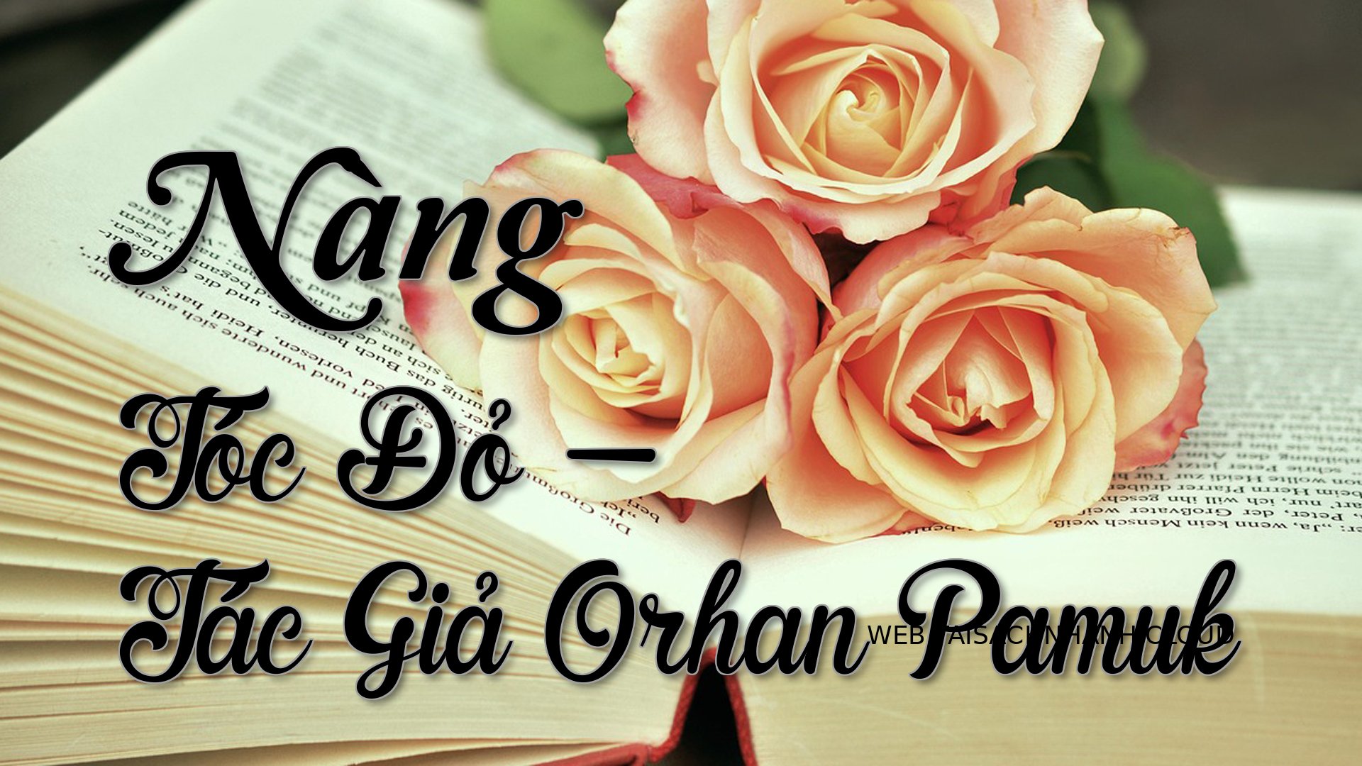 Cover Nang Toc Do.jpg