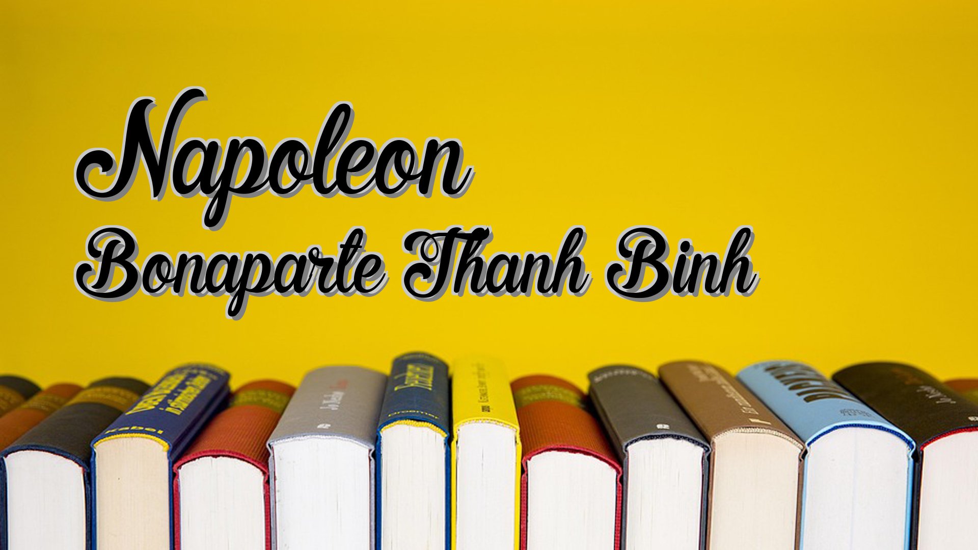 Cover image for Napoleon Bonaparte Thanh Binh