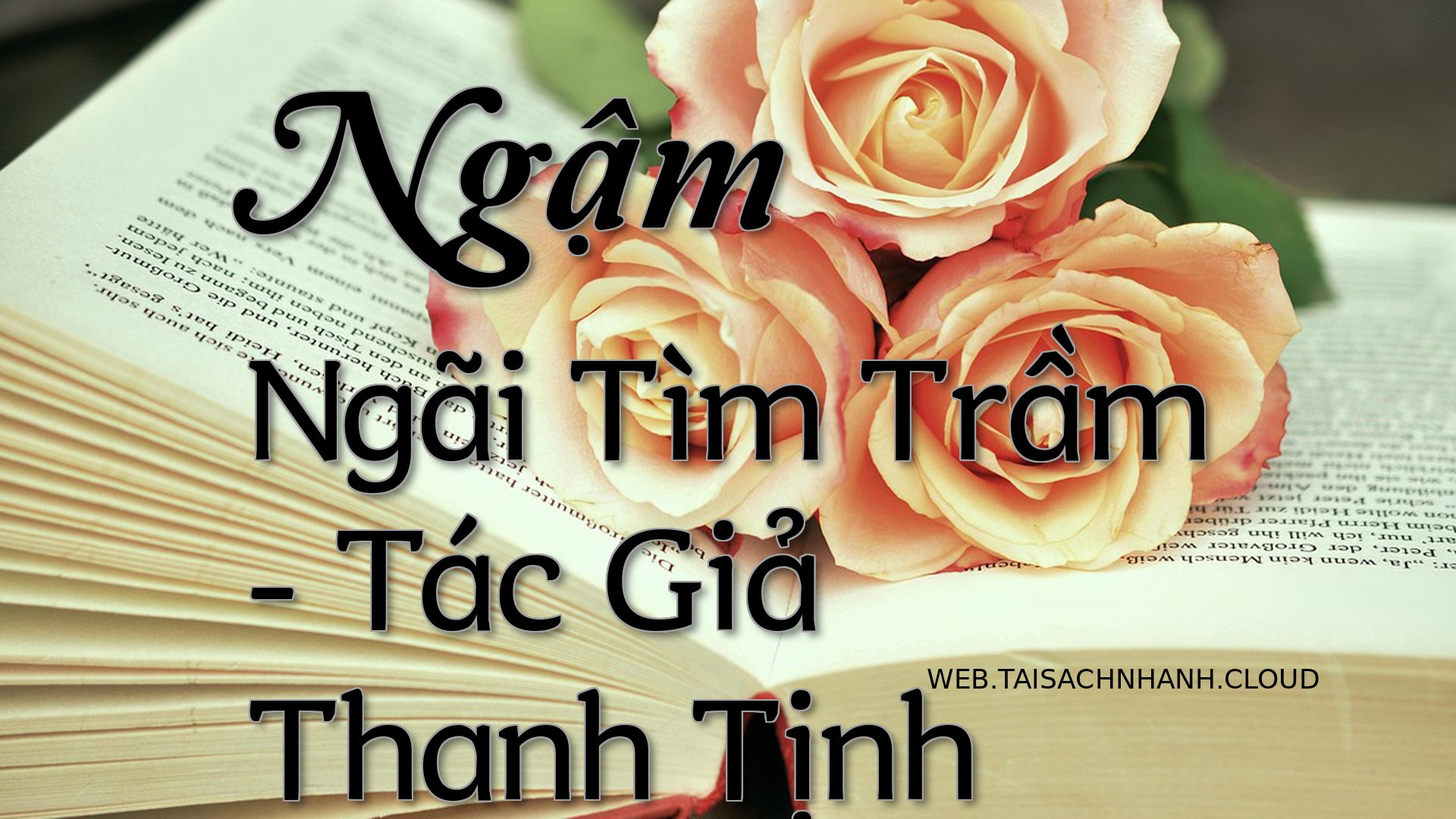 Cover Ngam Ngai Tim Tram.jpg