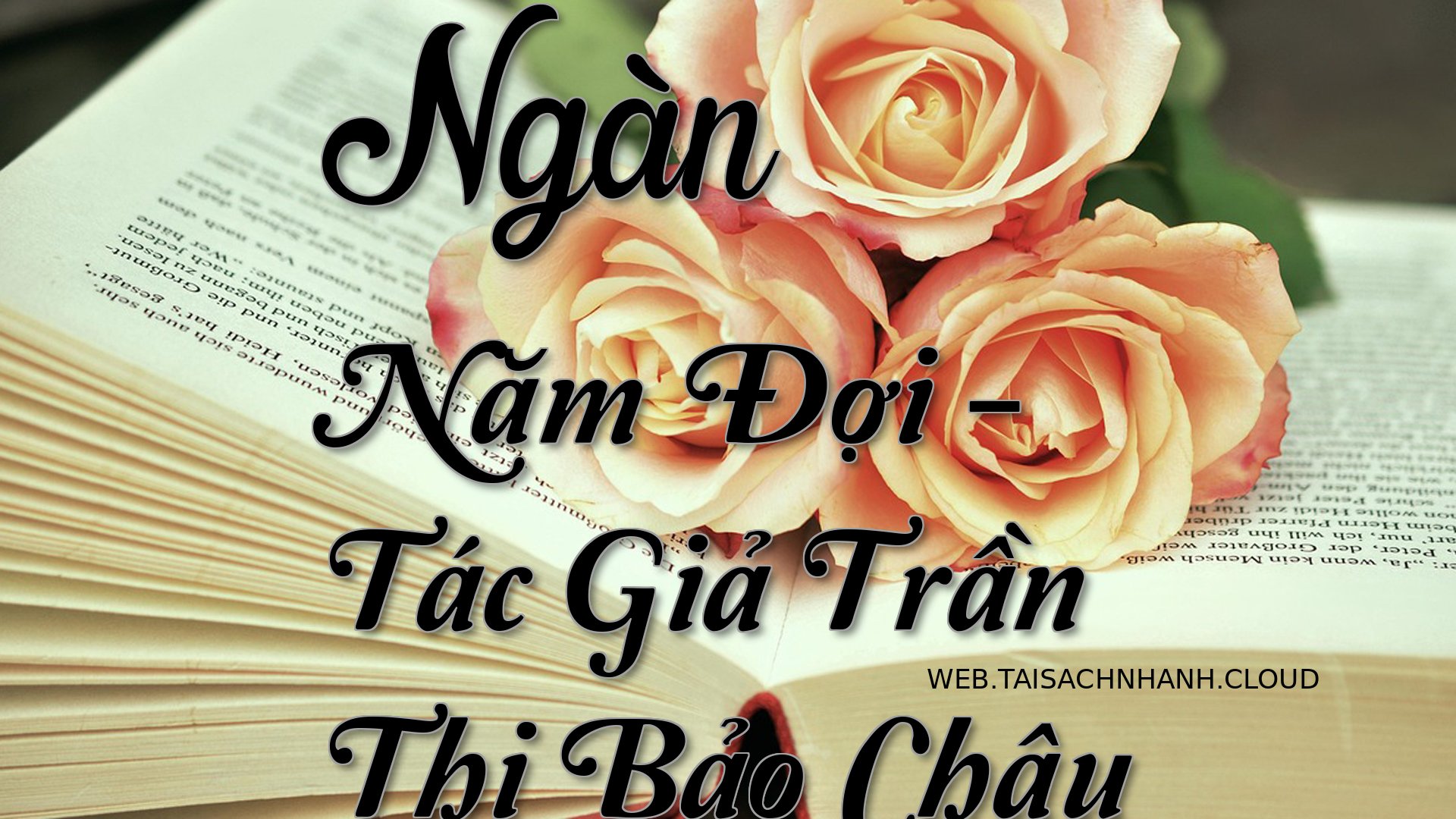 Cover Ngan Nam Doi.jpg