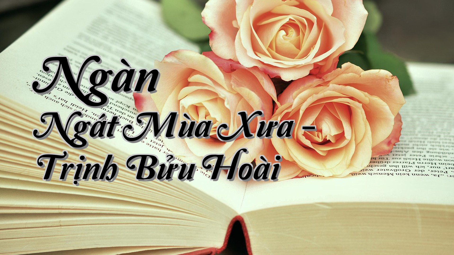 cover-Ngàn Ngát Mùa Xưa - Trịnh Bửu Hoài