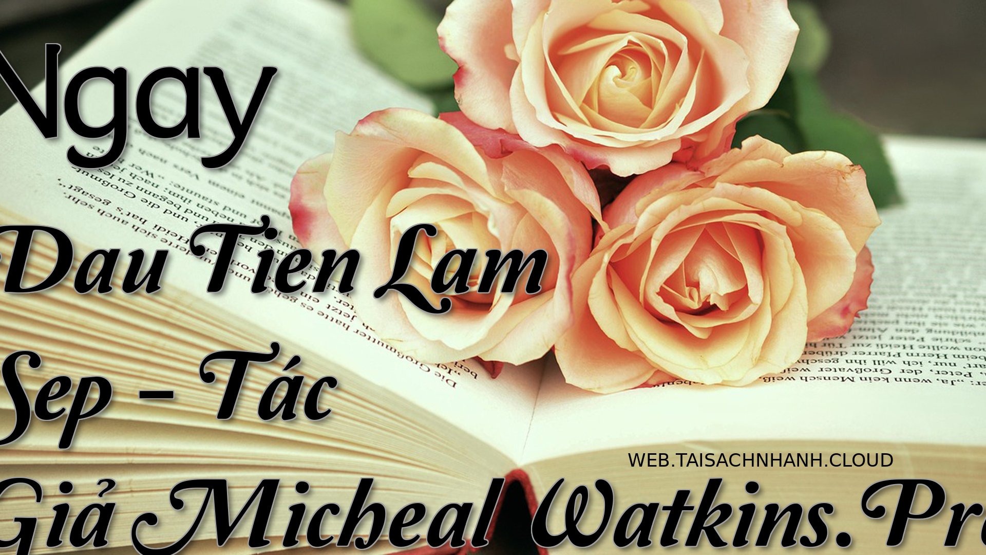 Cover Ngay Dau Tien Lam Se.jpg