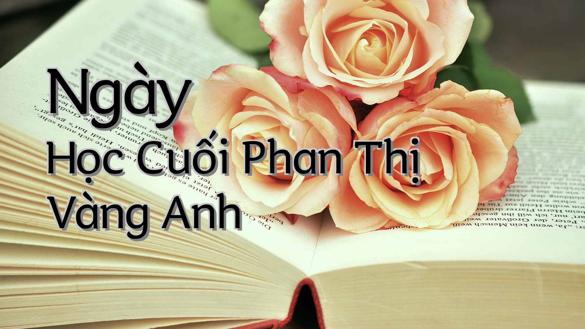 cover-Ngày Học Cuối Phan Thị Vàng Anh