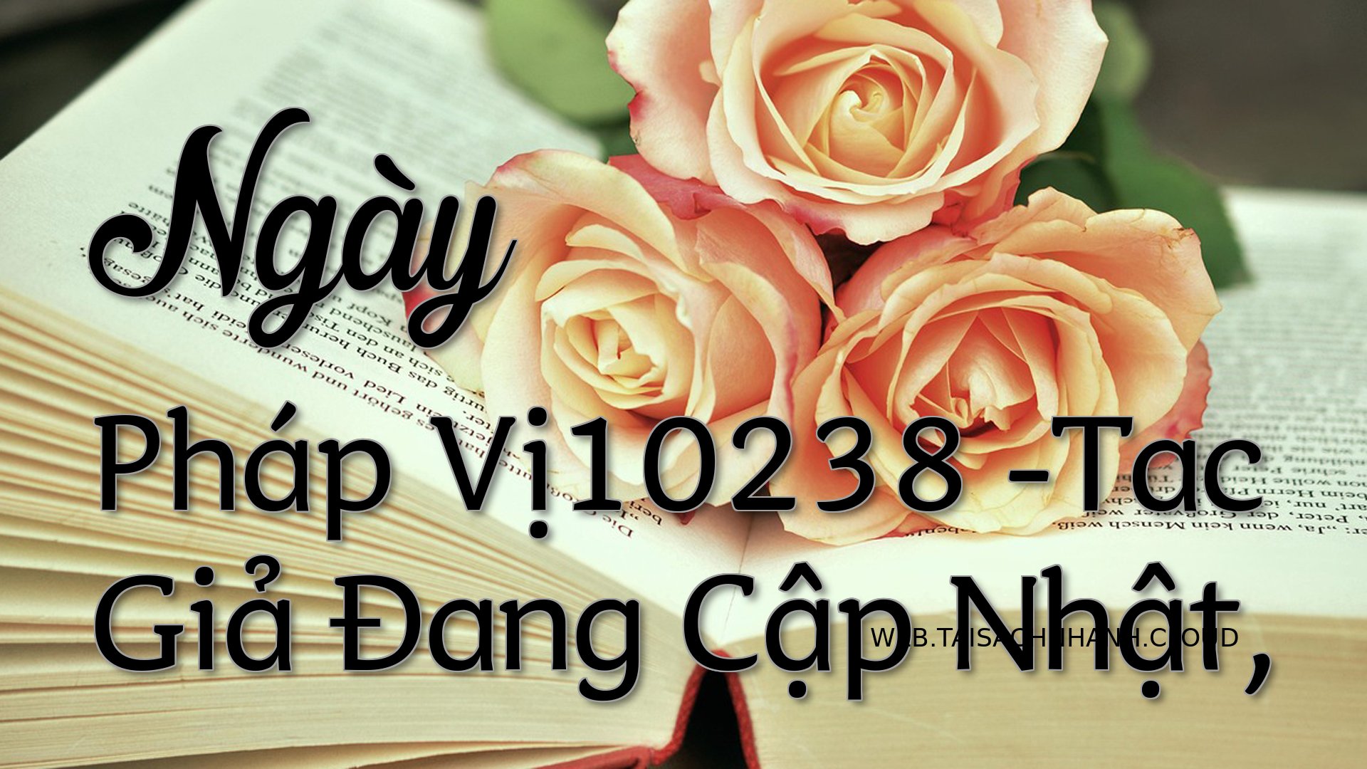 Cover Ngay Phap Vi10238.jpg