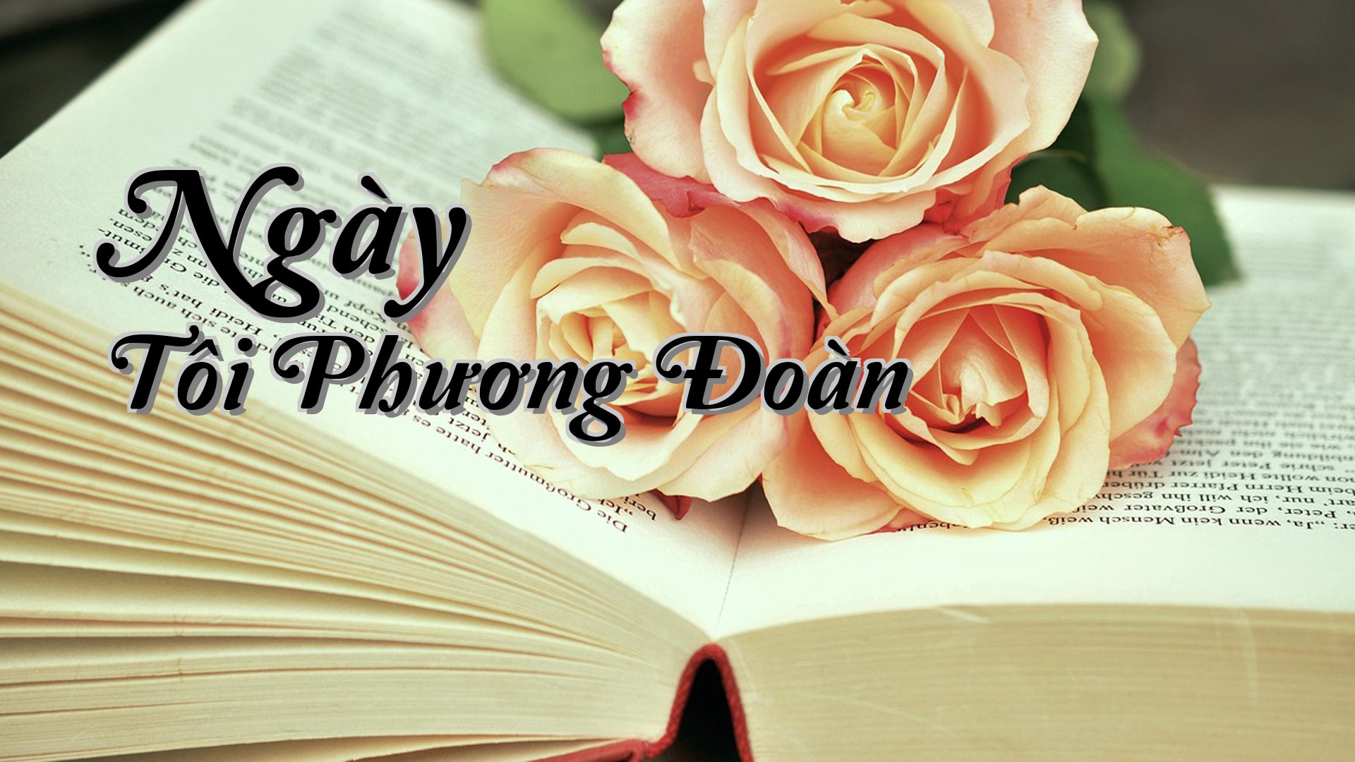 cover-Ngày Tôi Phương Đoàn