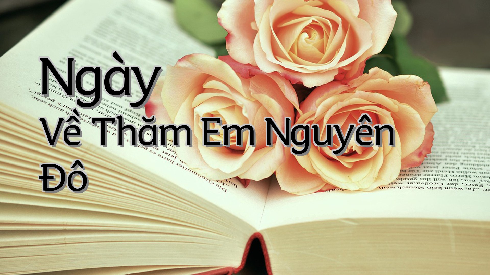cover-Ngày Về Thăm Em Nguyên Đô