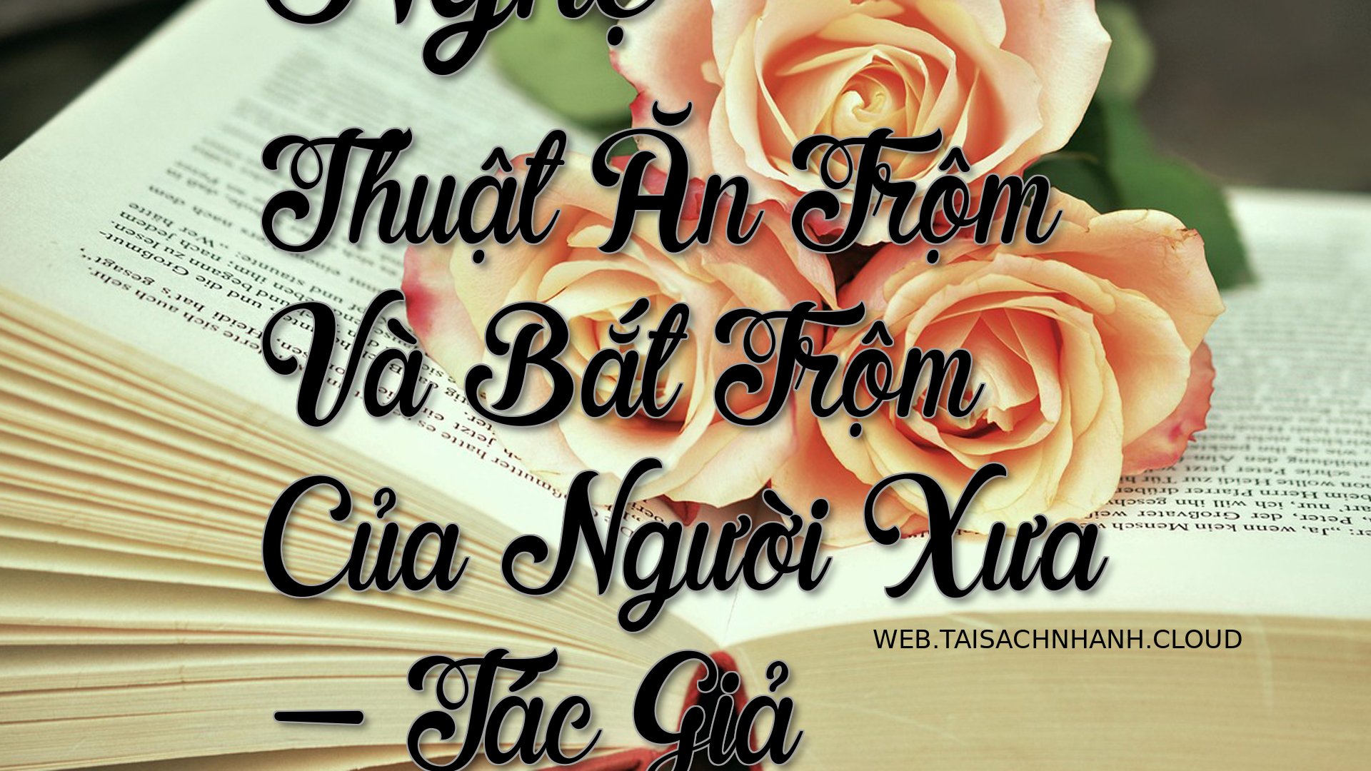 Cover Nghe Thuat An Trom V.jpg