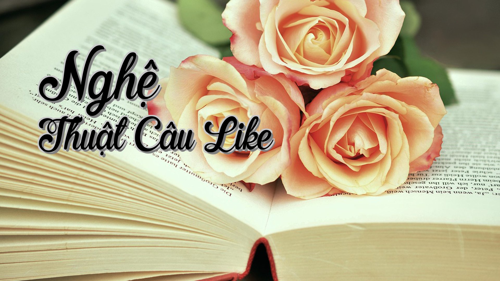 cover-Nghệ Thuật Câu Like