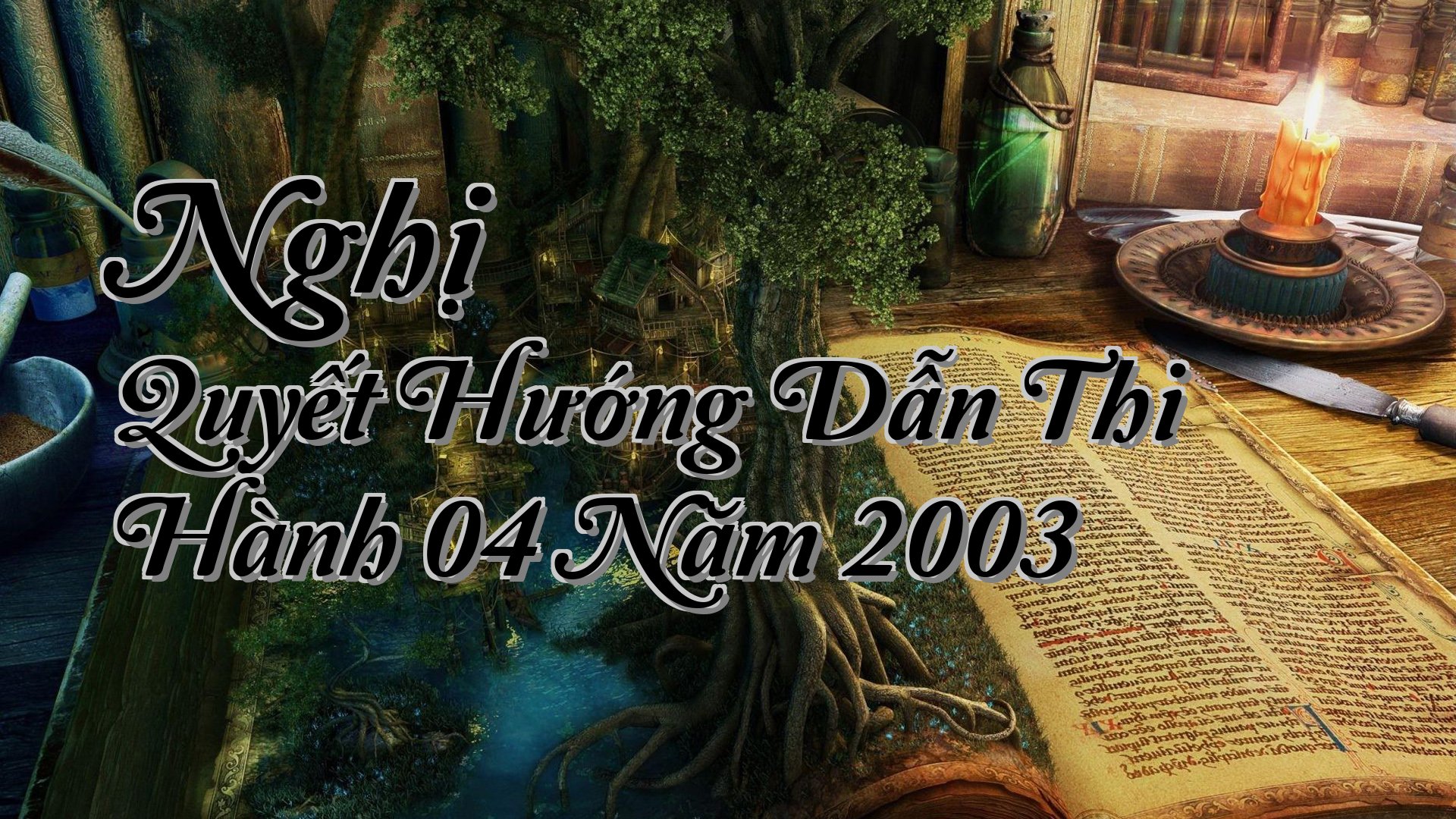 cover-Nghị Quyết Hướng Dẫn Thi Hành 04 Năm 2003