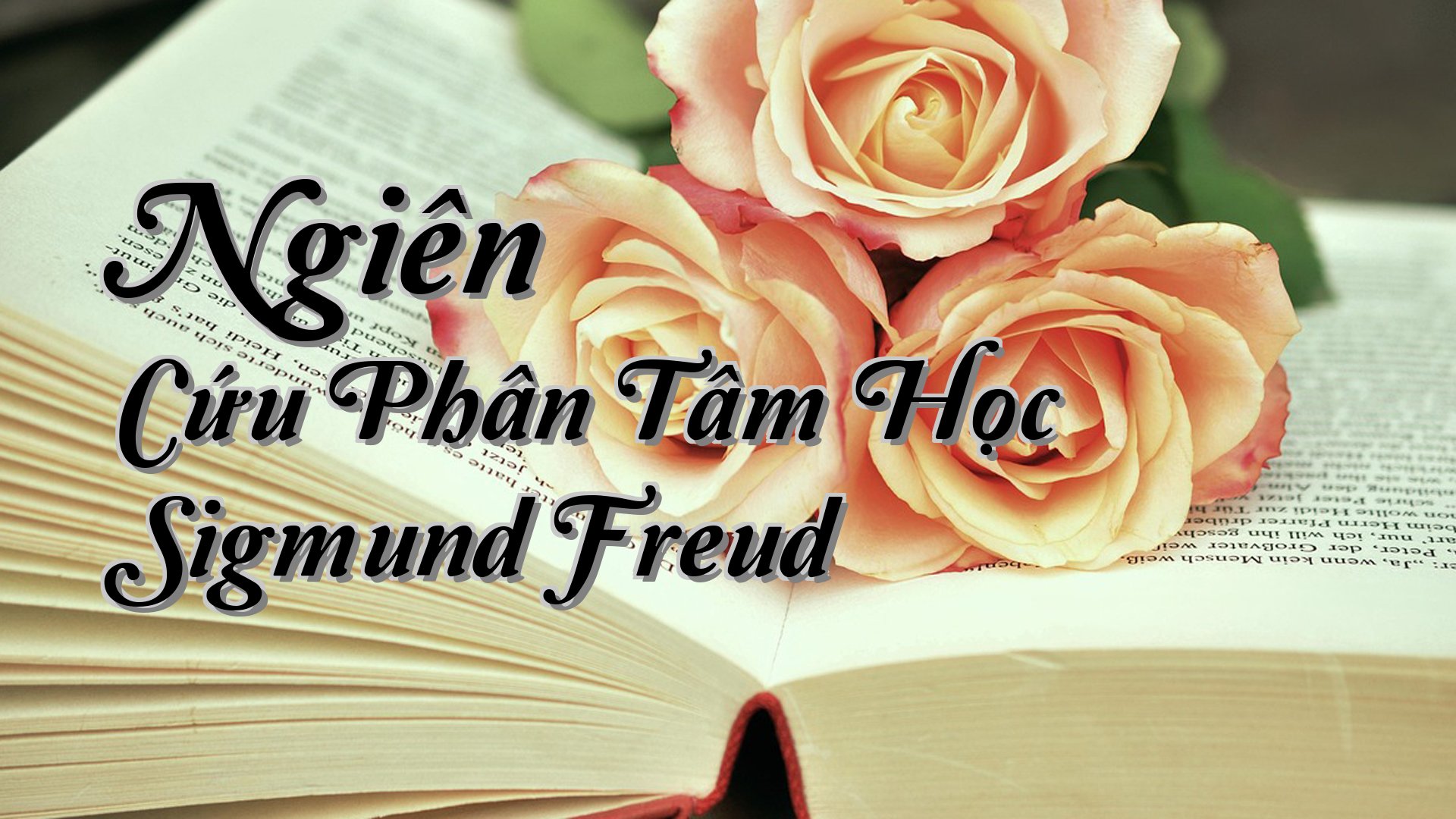 cover-Ngiên Cứu Phân Tâm Học Sigmund Freud