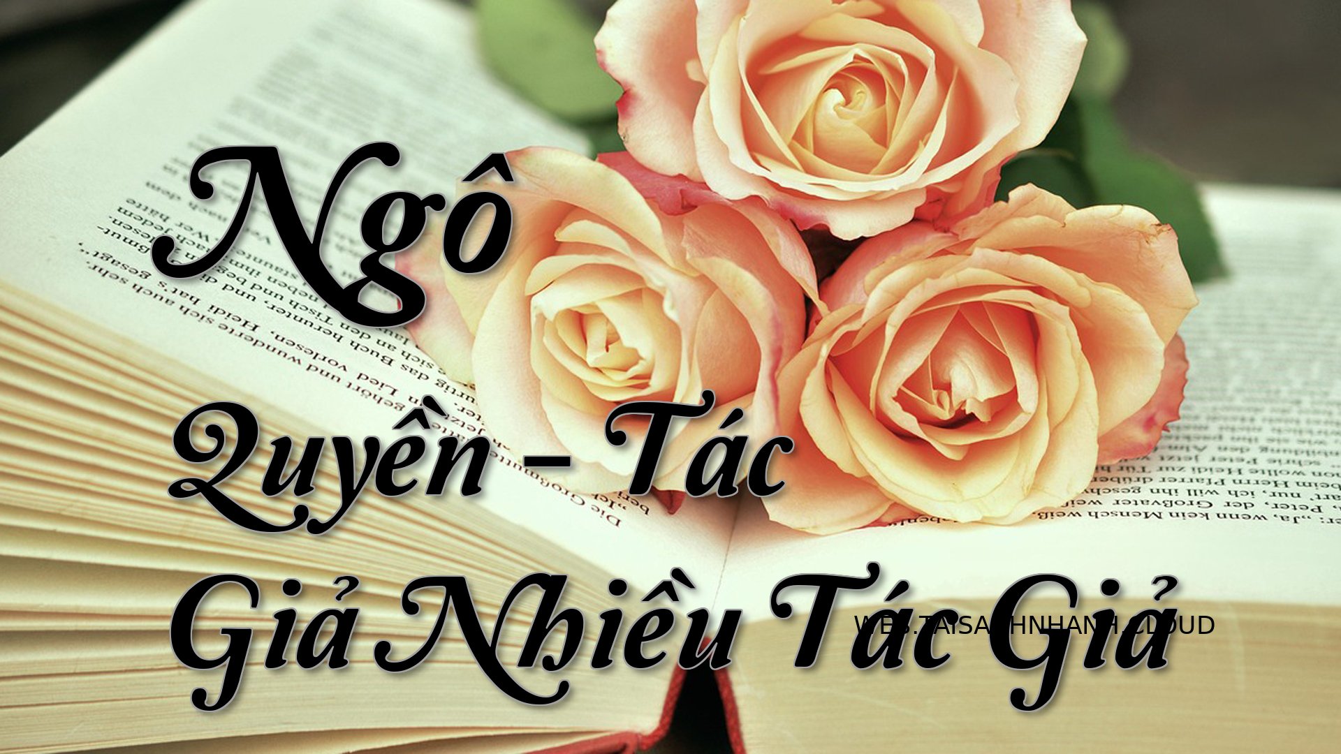 Cover Ngo Quyen.jpg