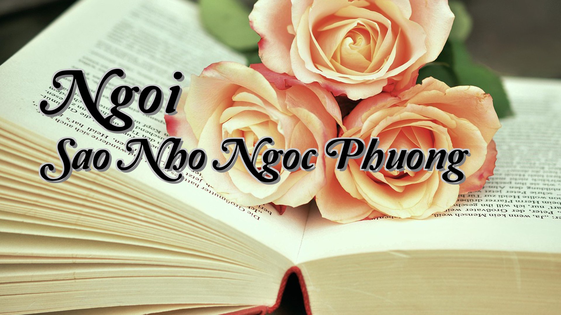 Cover image for Ngoi Sao Nho Ngoc Phuong