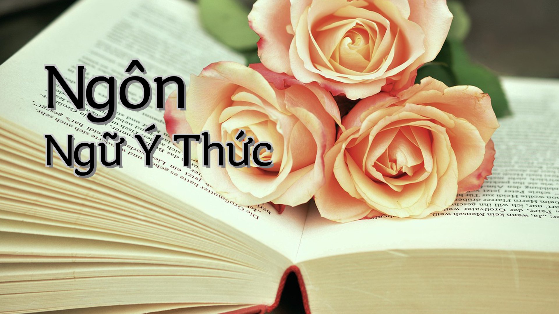 cover-Ngôn Ngữ Ý Thức