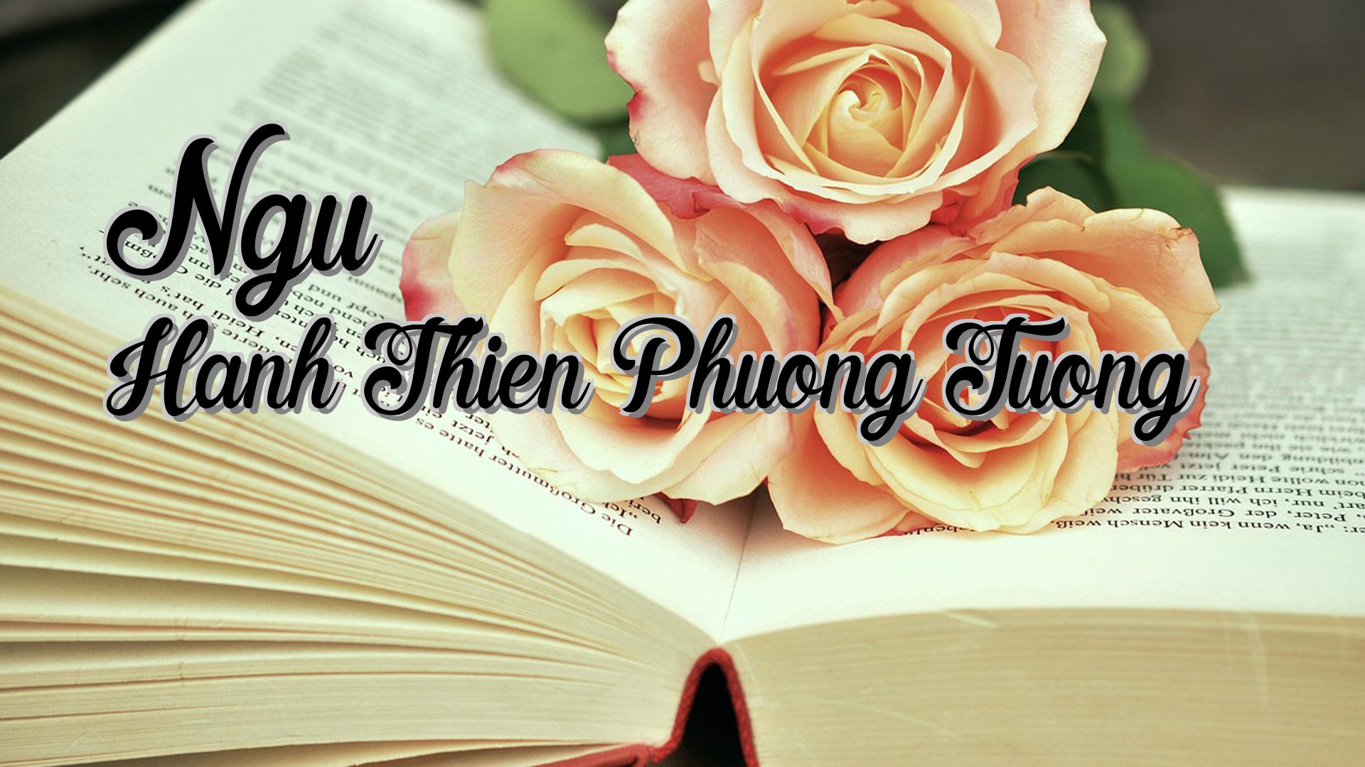 Cover image for Ngu Hanh Thien Phuong Tuong