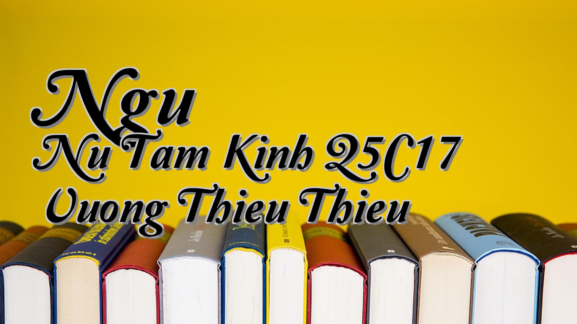 cover-Ngu Nu Tam Kinh Q5C17 Vuong Thieu Thieu