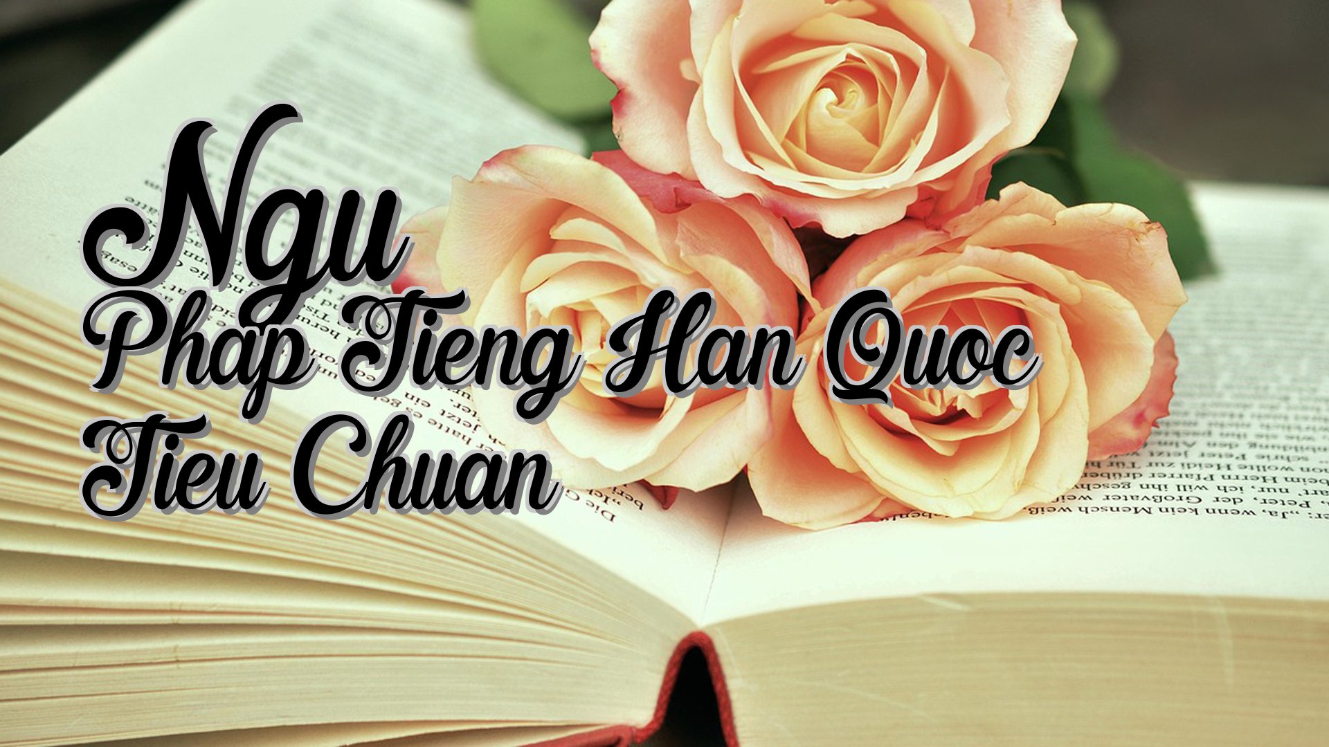 cover-Ngu Phap Tieng Han Quoc Tieu Chuan