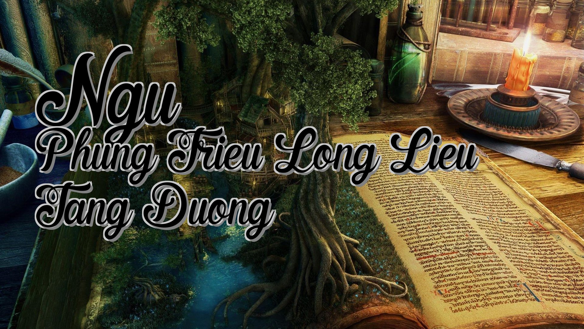 cover-Ngu Phung Trieu Long Lieu Tang Duong