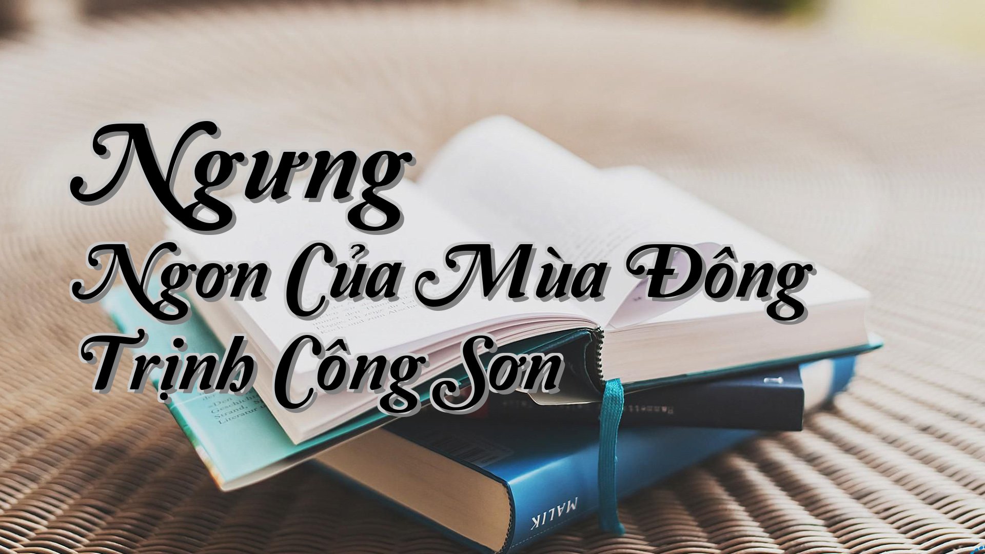 cover-Ngưng Ngơn Của Mùa Đông Trịnh Công Sơn