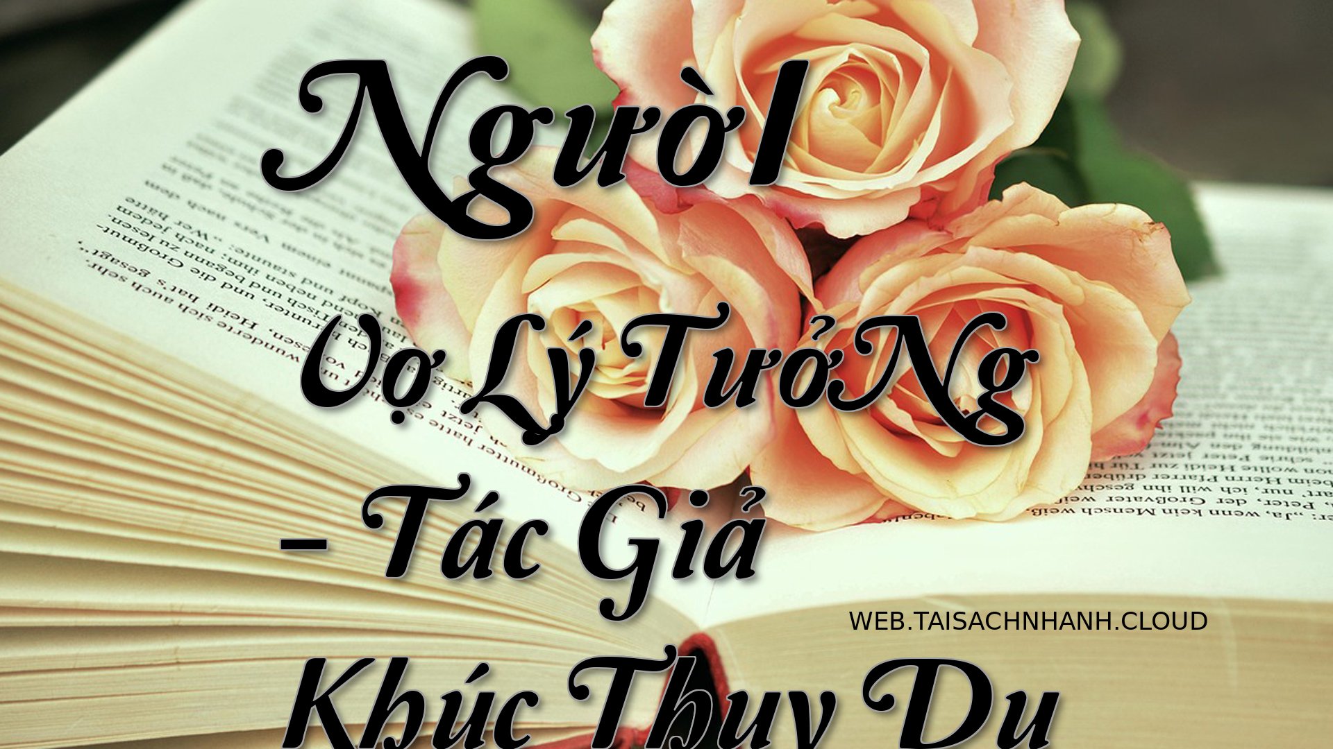 Cover NguoI Vo Ly TuoN.jpg