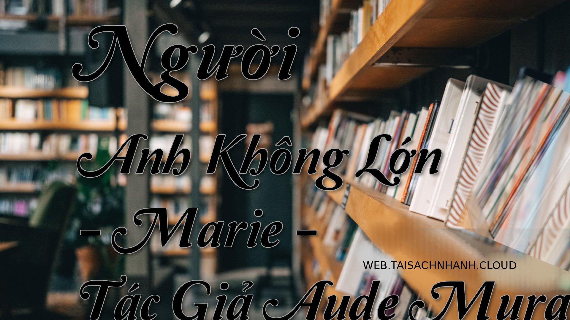 Cover Nguoi Anh Khong Lon.jpg