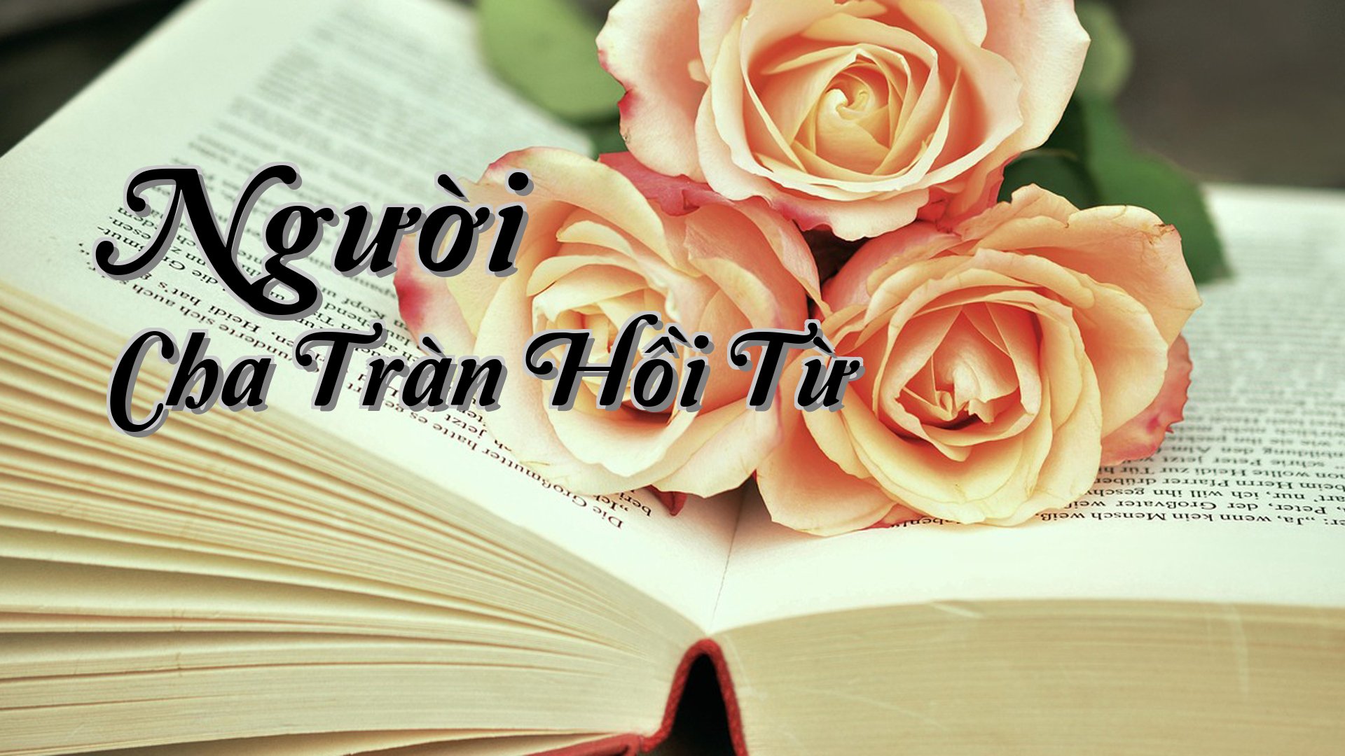 cover-Người Cha Tràn Hồi Từ