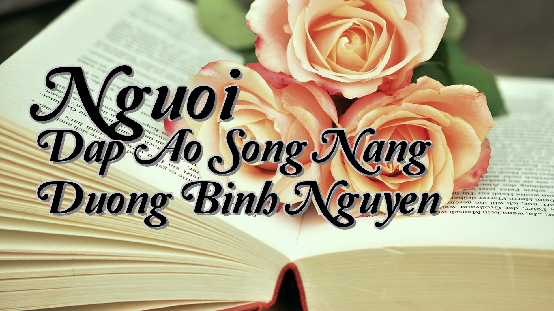 cover-Nguoi Dap Ao Song Nang Duong Binh Nguyen
