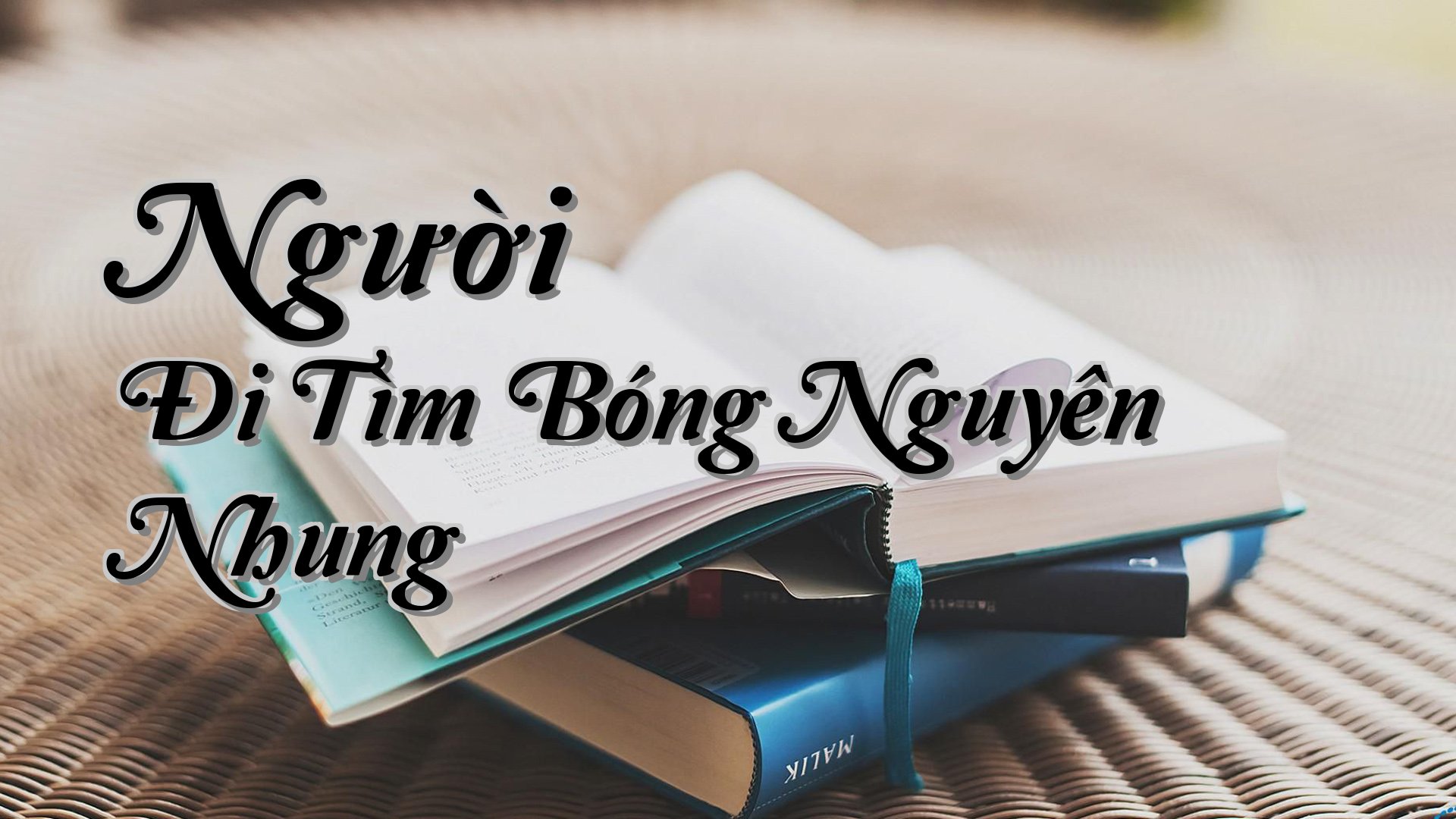 cover-Người Đi Tìm Bóng Nguyên Nhung