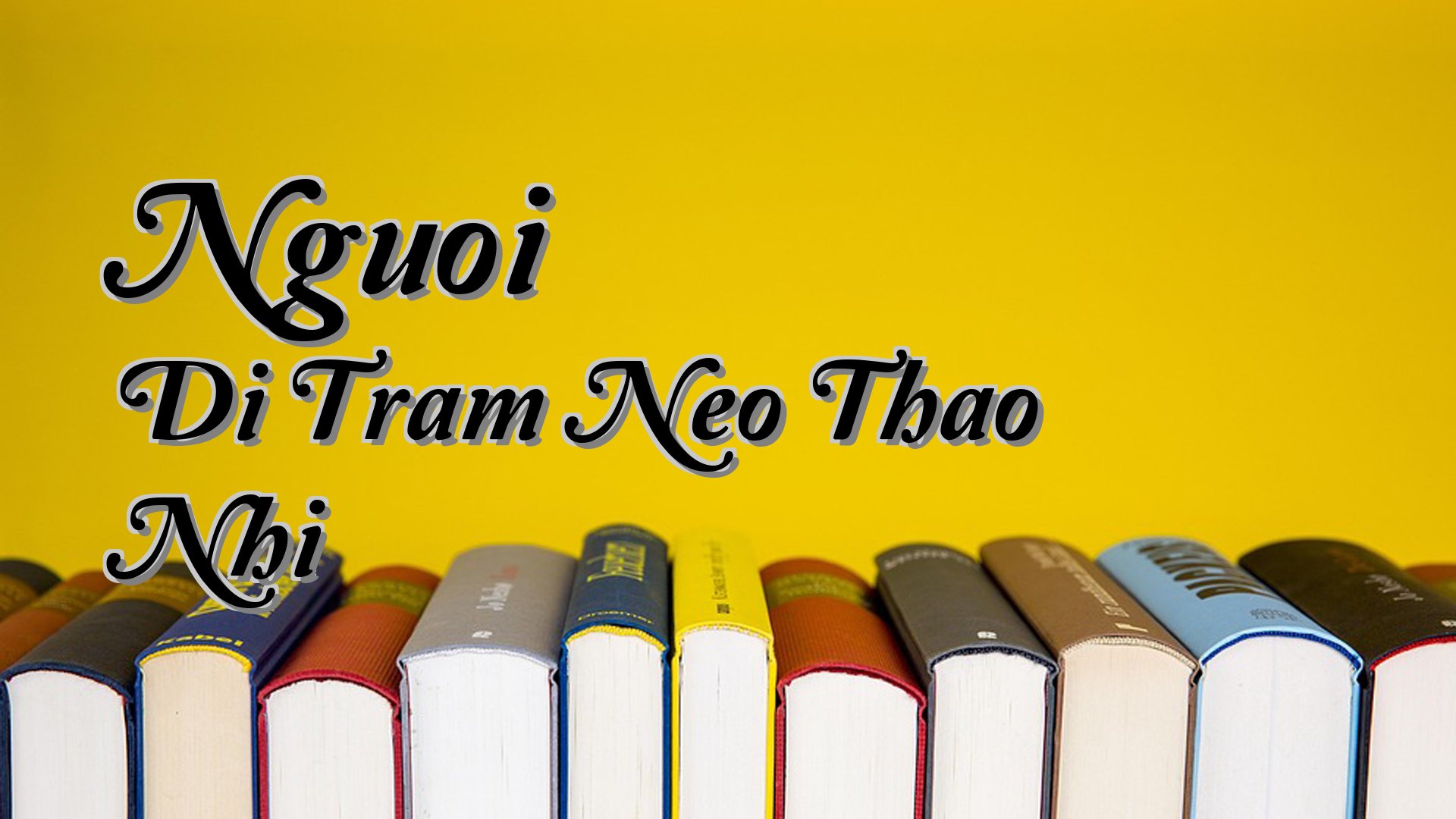 Cover image for Nguoi Di Tram Neo Thao Nhi