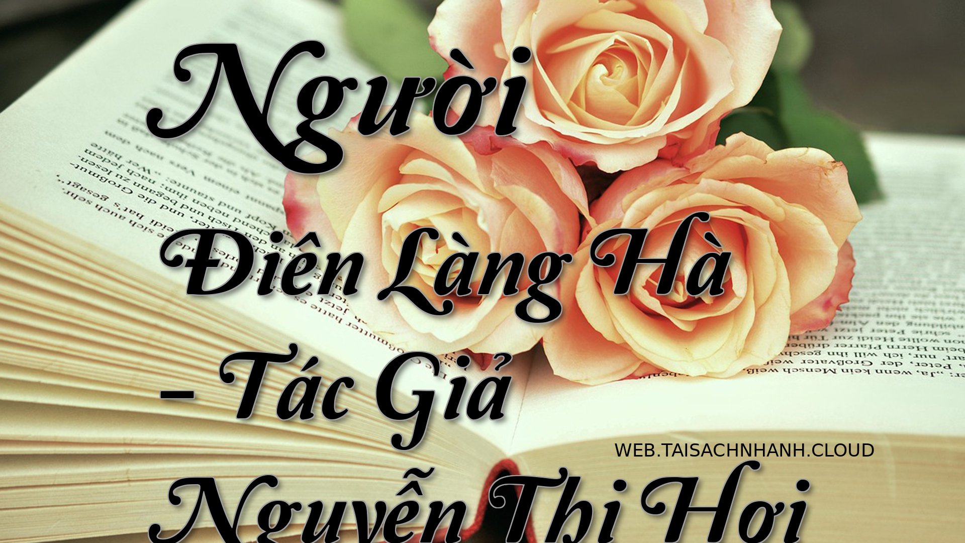 Cover Nguoi Dien Lang Ha.jpg