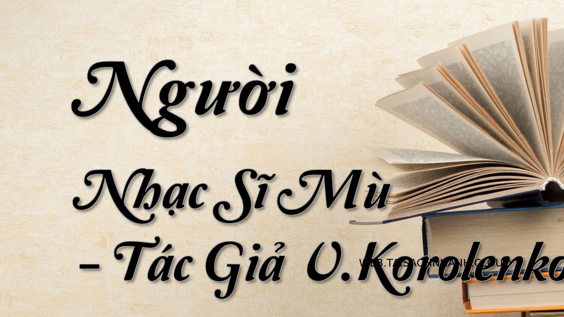 Cover Nguoi Nhac Si Mu.jpg