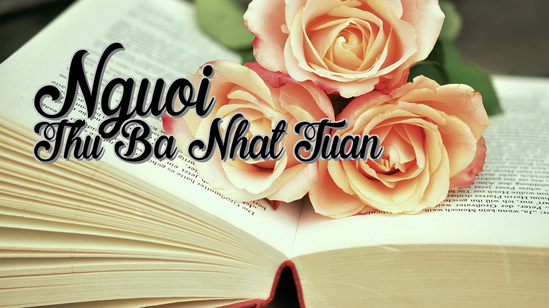 cover-Nguoi Thu Ba Nhat Tuan