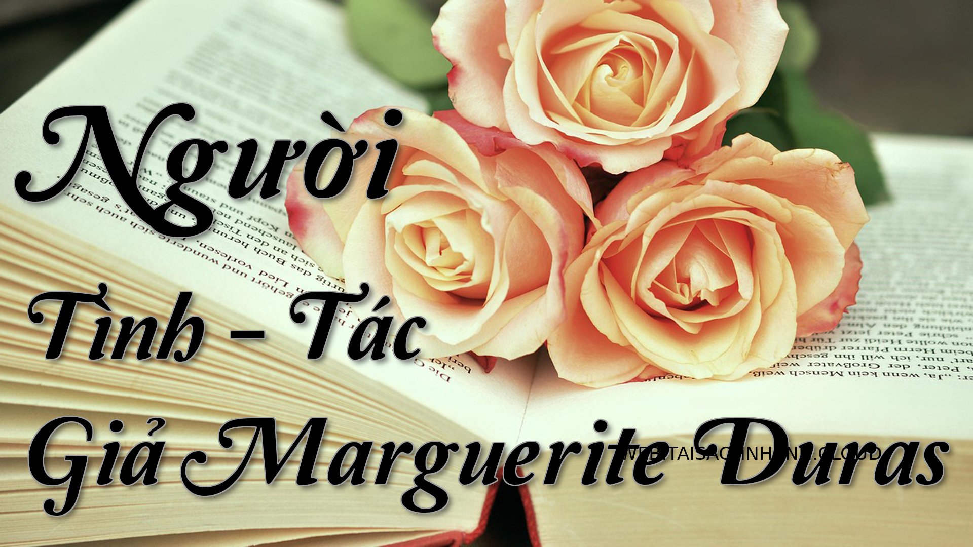 Cover Nguoi Tinh.jpg