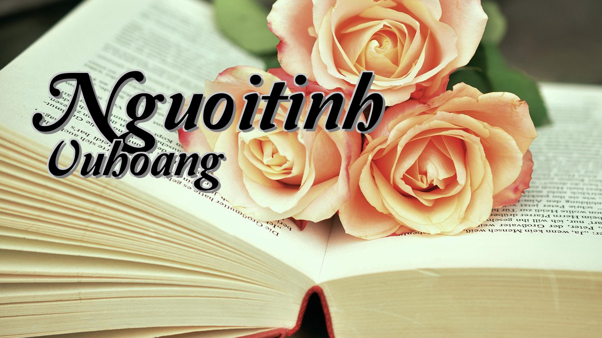 cover-Nguoitinh Vuhoang