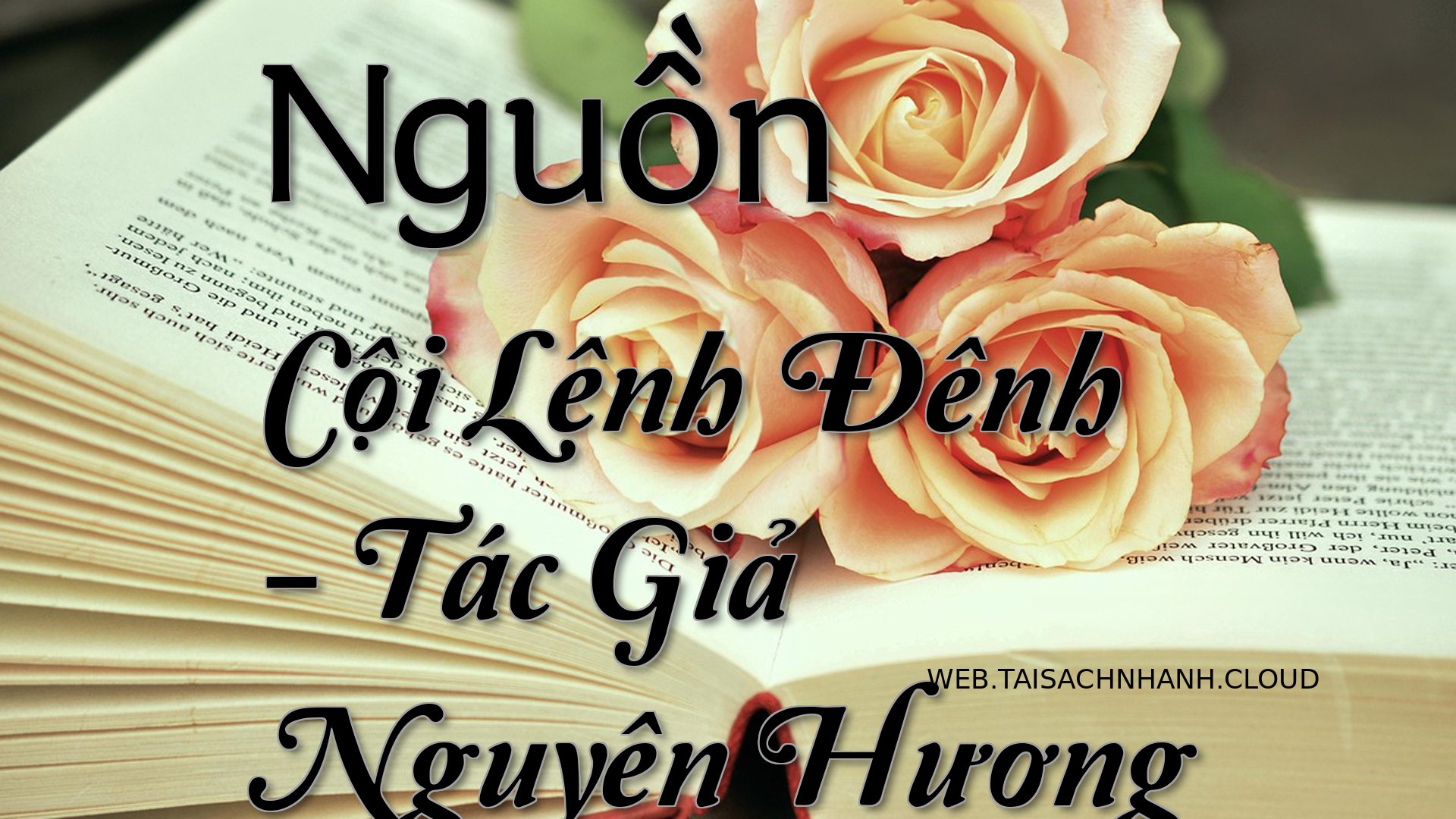 Cover Nguon Coi Lenh Denh.jpg