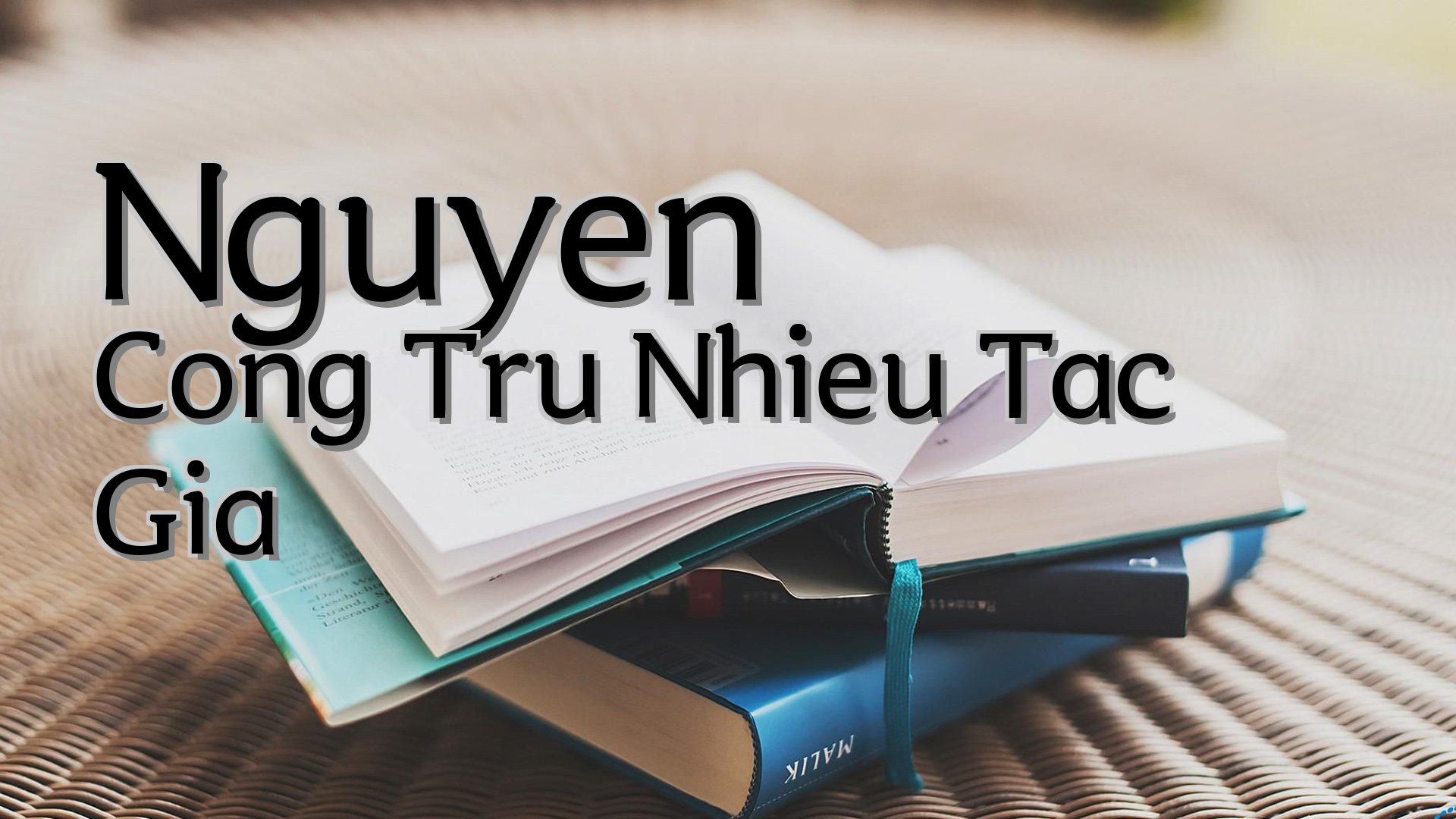 cover-Nguyen Cong Tru Nhieu Tac Gia