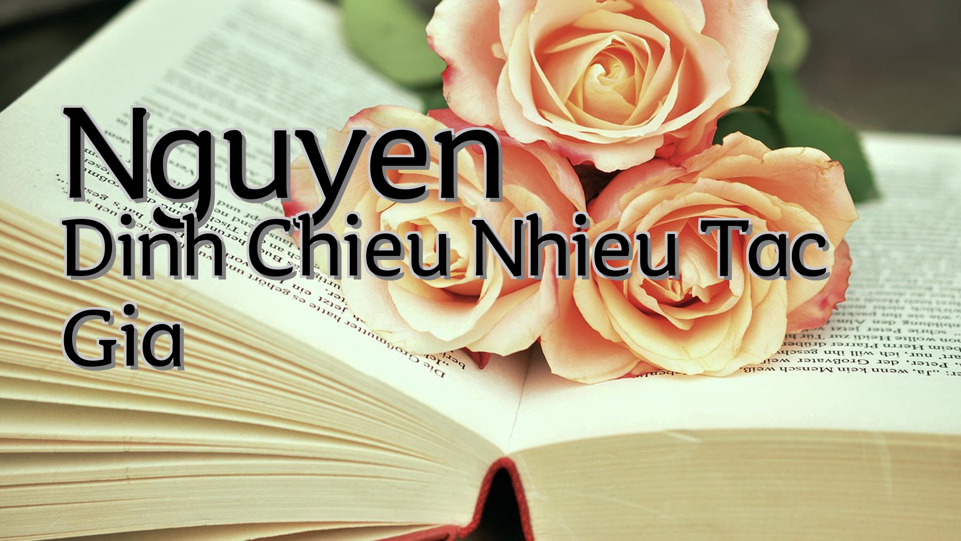 cover-Nguyen Dinh Chieu Nhieu Tac Gia