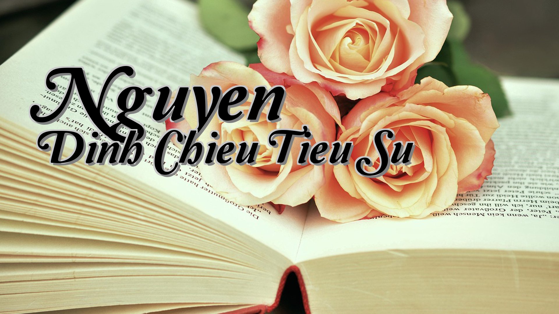 cover-Nguyen Dinh Chieu Tieu Su