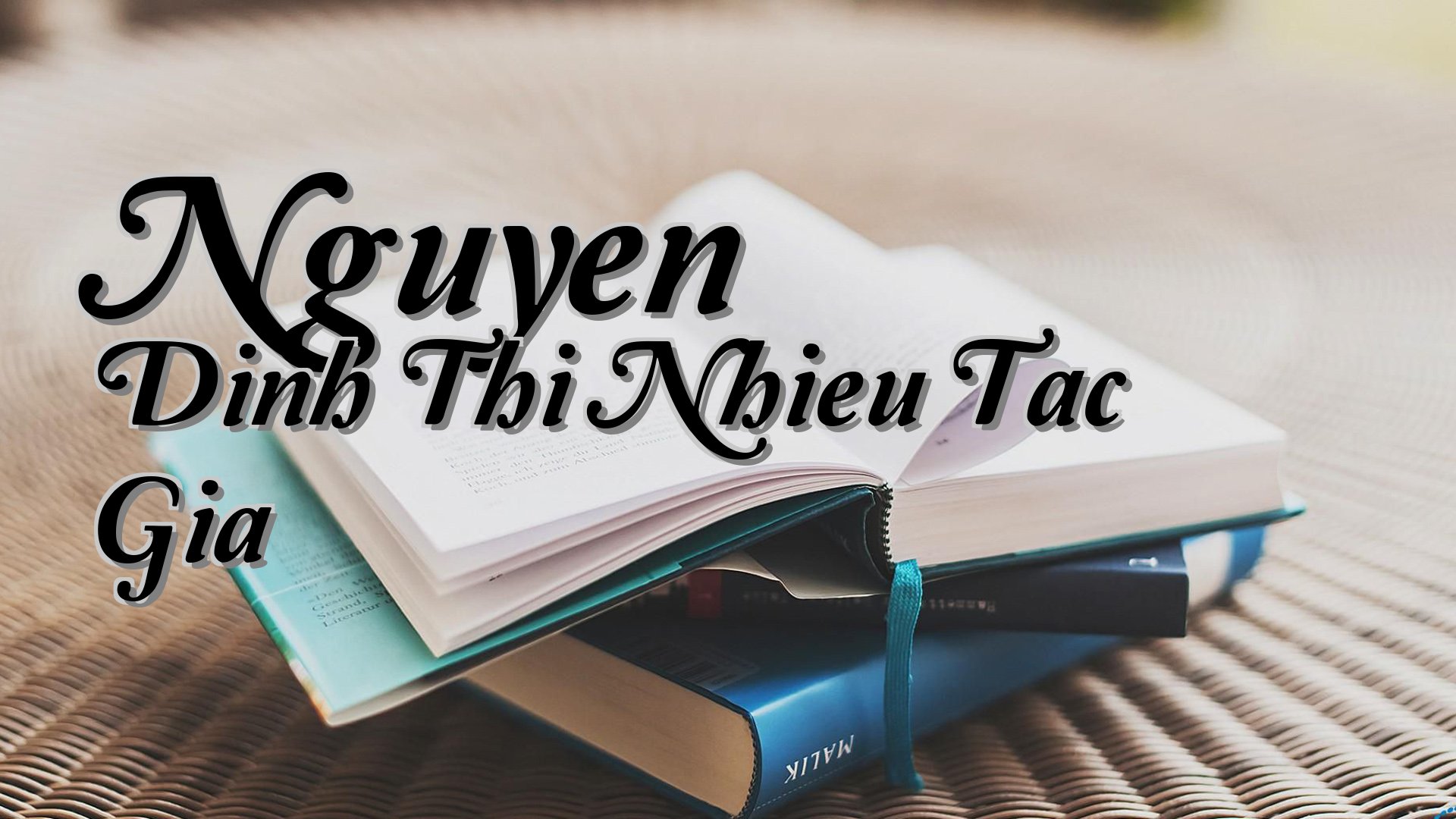 cover-Nguyen Dinh Thi Nhieu Tac Gia