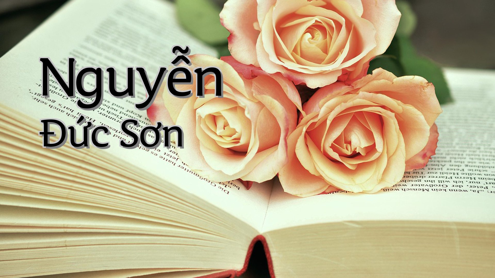 cover-Nguyễn Đức Sơn