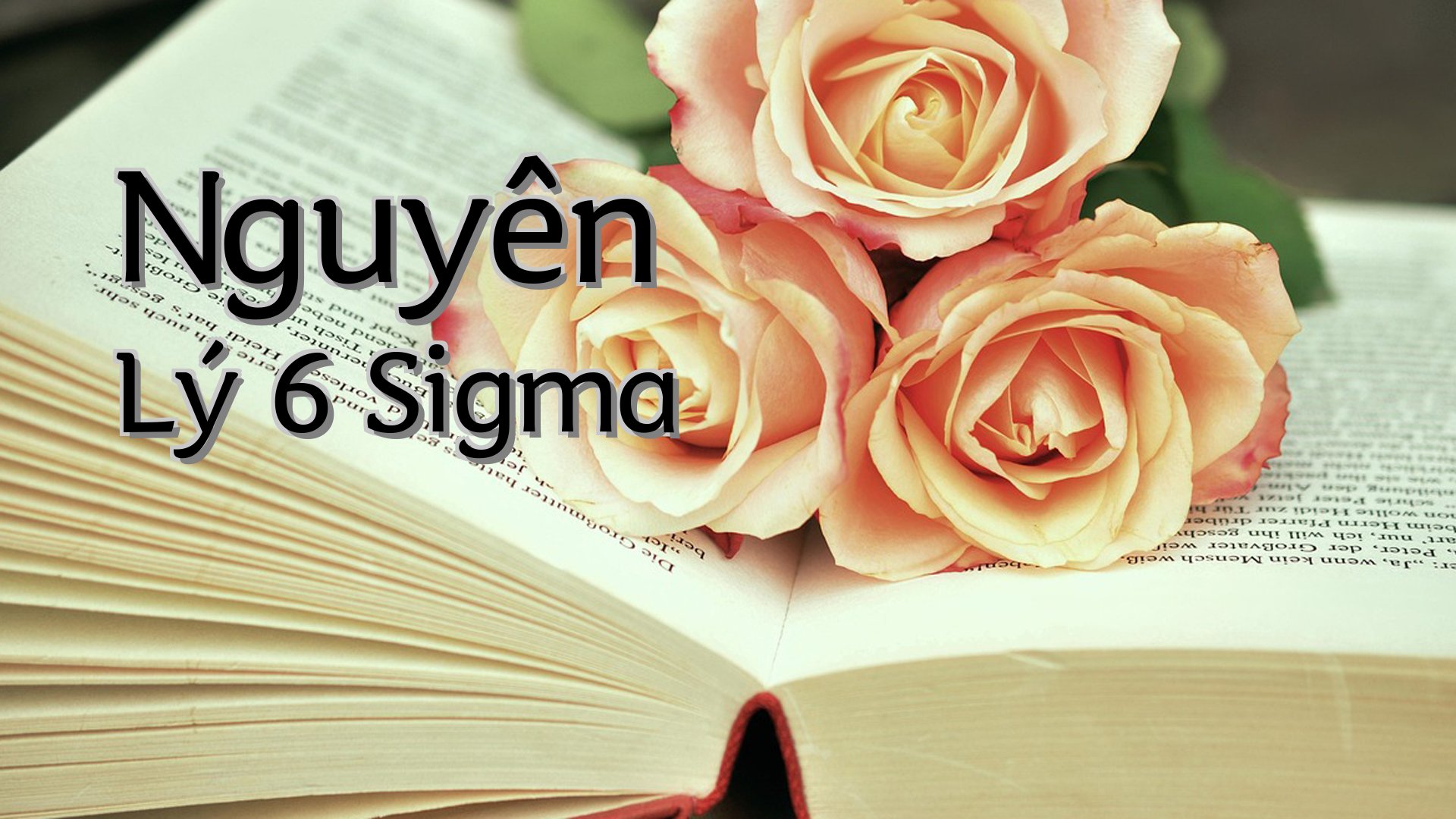 cover-Nguyên Lý 6 Sigma