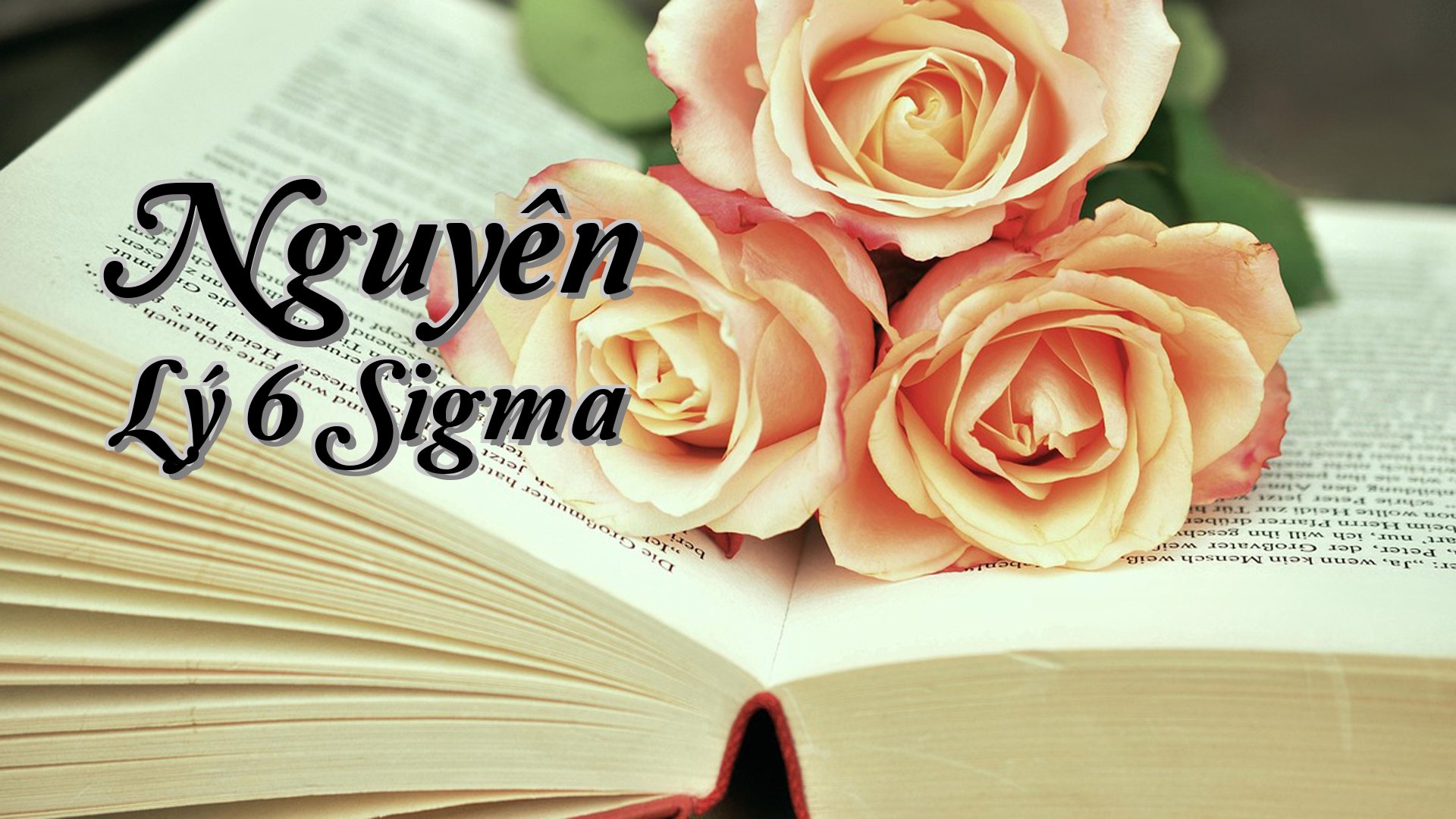 cover-Nguyên Lý 6 Sigma