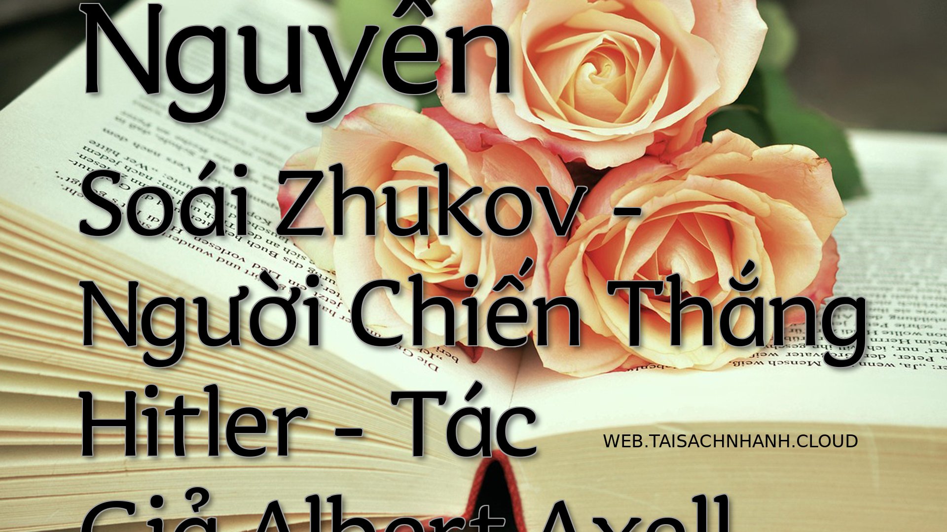 Cover Nguyen Soai Zhukov.jpg