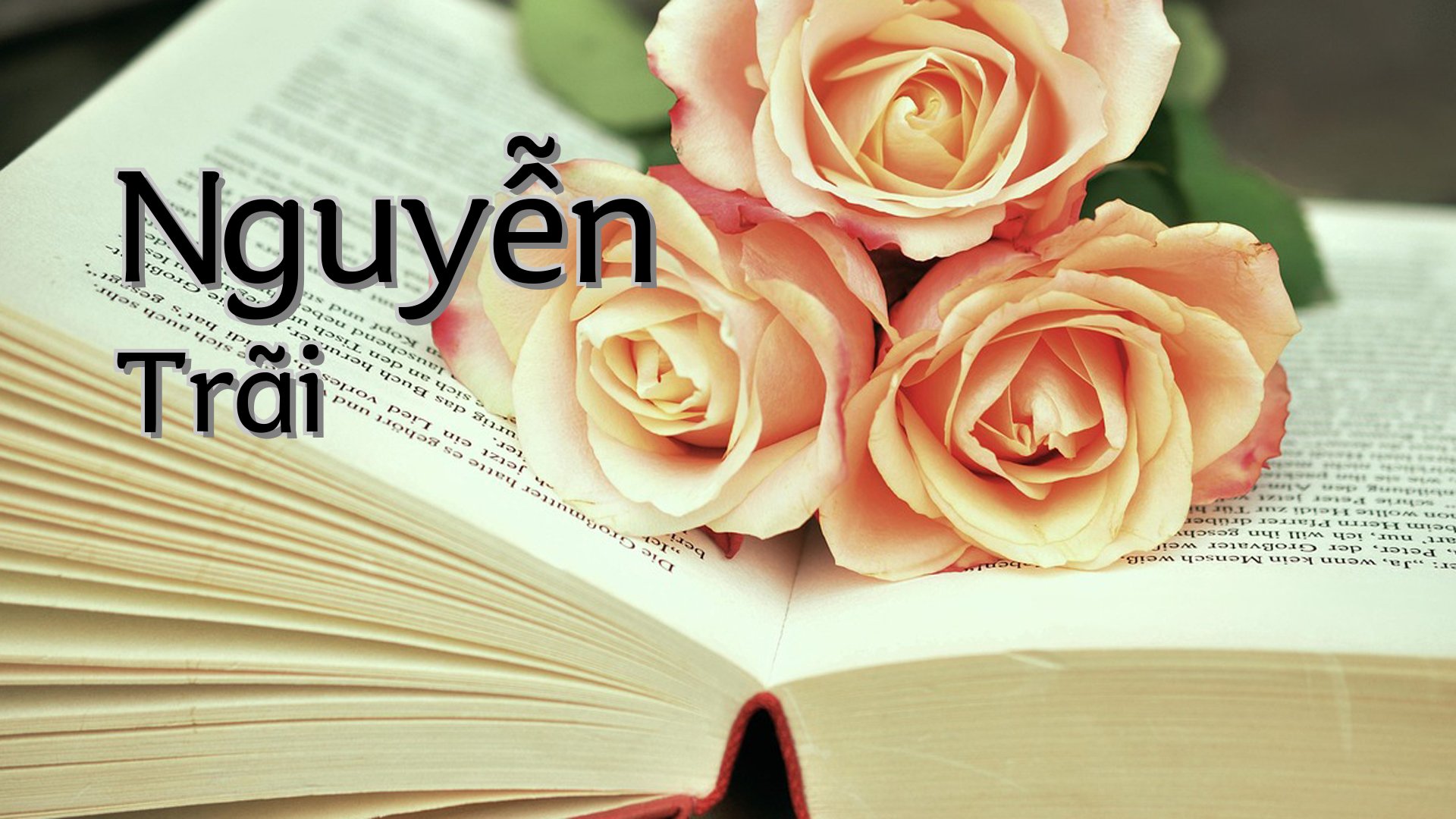 cover-Nguyễn Trãi