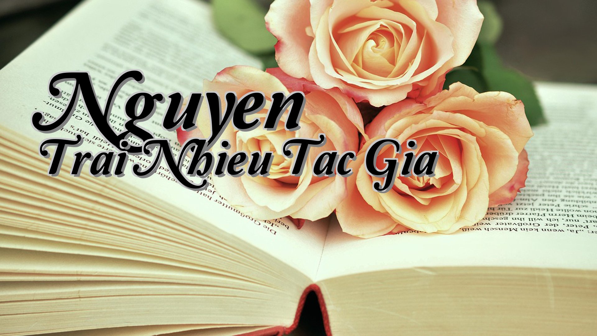 cover-Nguyen Trai Nhieu Tac Gia