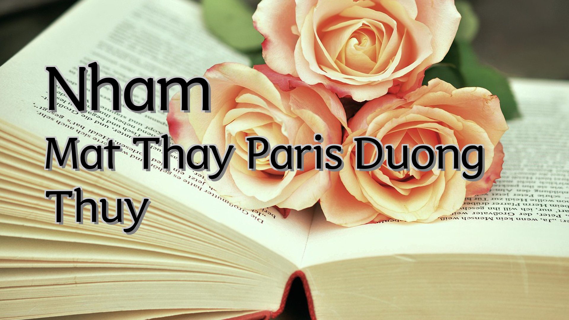 cover-Nham Mat Thay Paris Duong Thuy