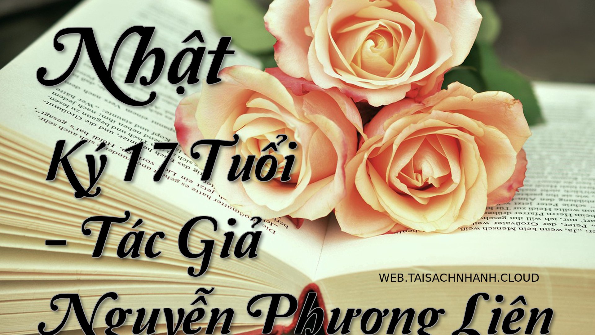 Cover Nhat Ky 17 Tuoi.jpg