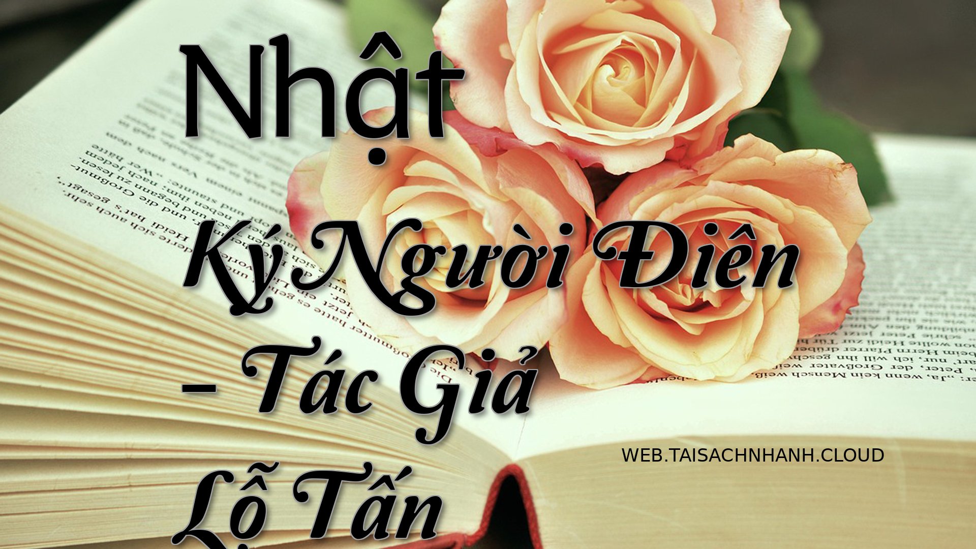Cover Nhat Ky Nguoi Dien.jpg