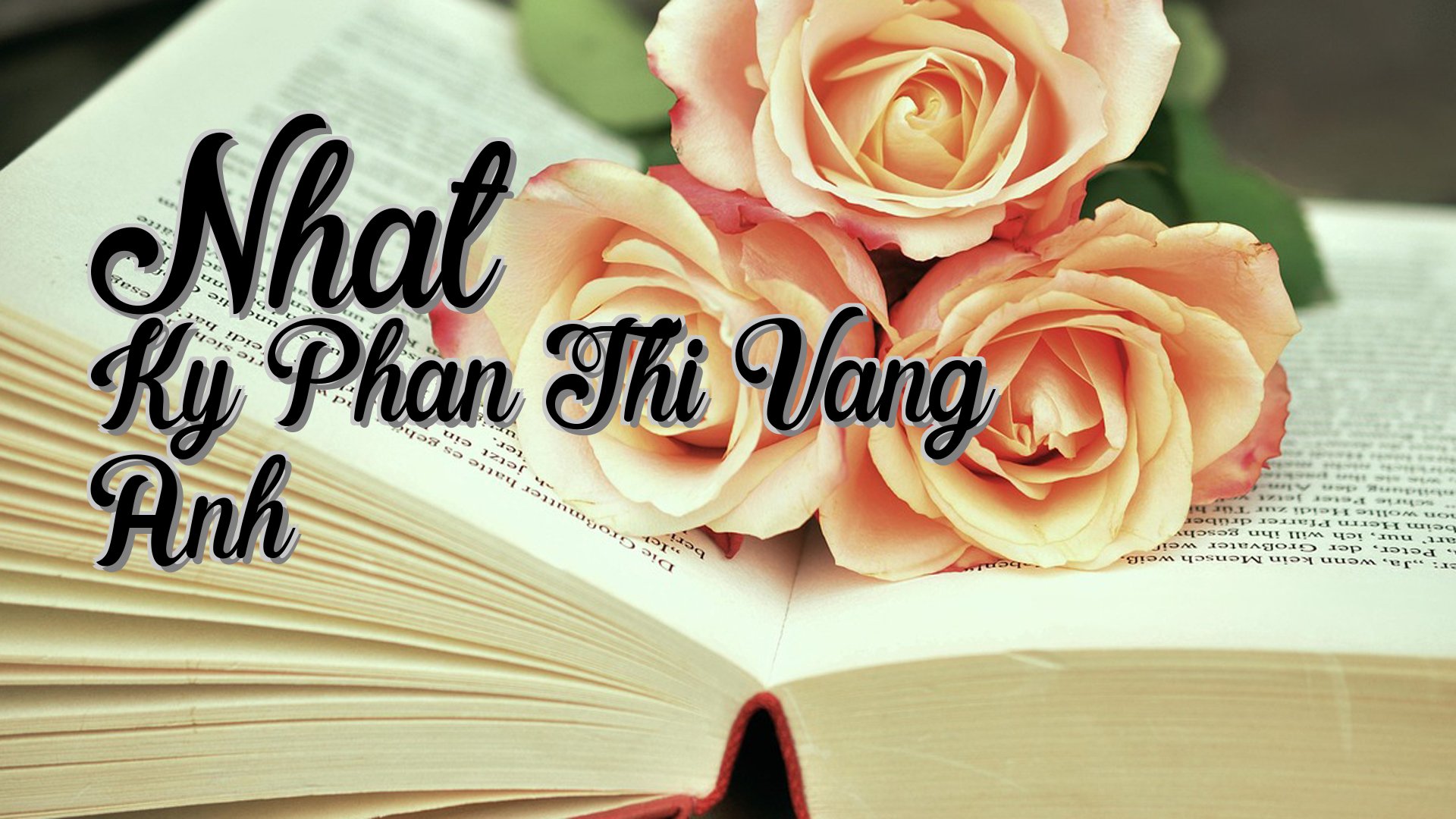 cover-Nhat Ky Phan Thi Vang Anh