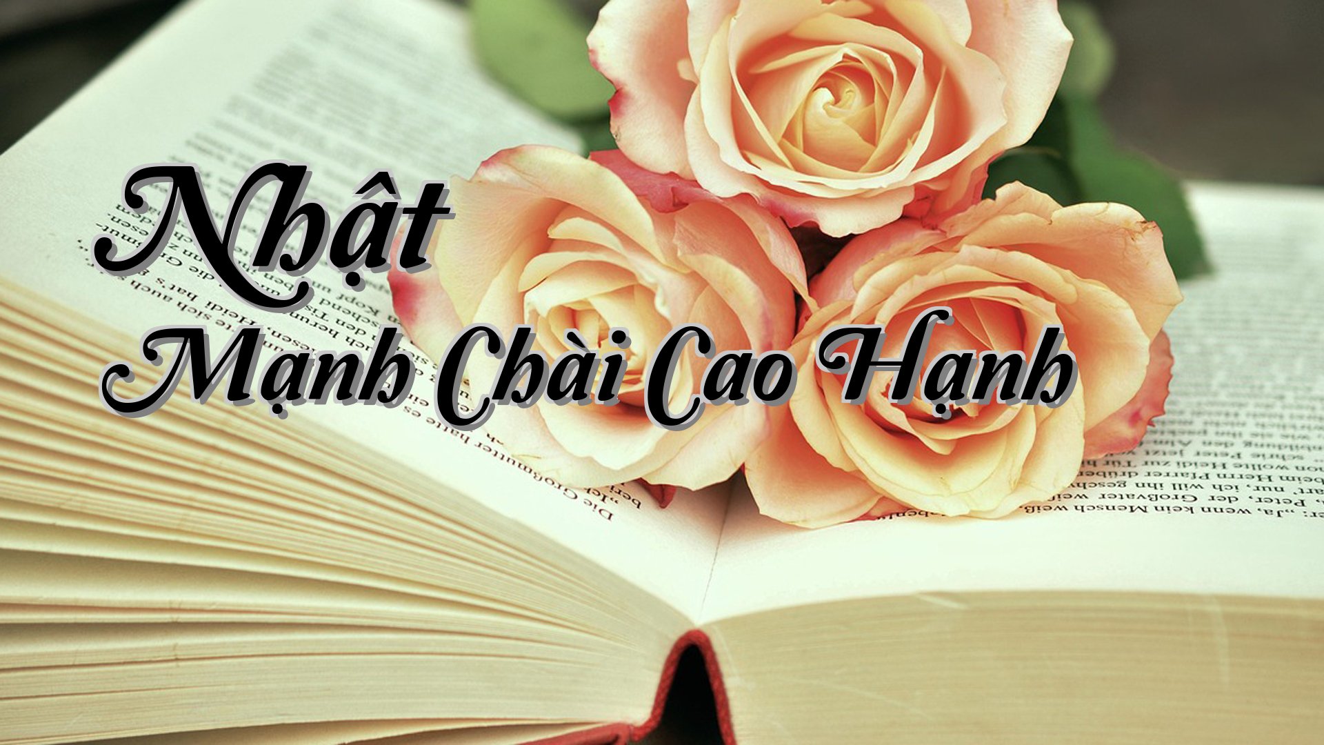 cover-Nhật Mạnh Chài Cao Hạnh